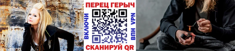 ГЕРОИН гречка  Болотное 